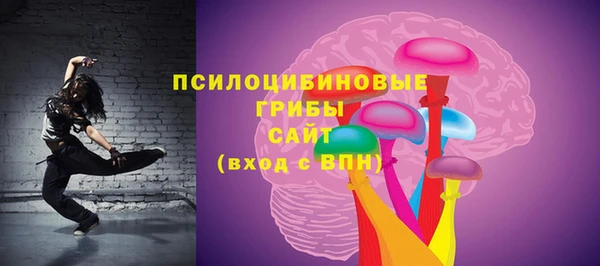 ПСИЛОЦИБИНОВЫЕ ГРИБЫ Алексин